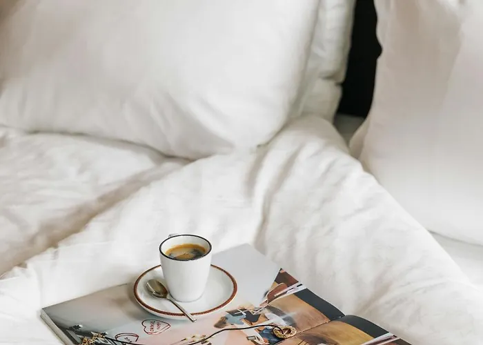 The Social Hub Extended * האג